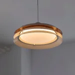 Modern üslubda təkli asma işıq MD8101 - Image 3