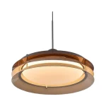 Modern üslubda təkli asma işıq MD8101