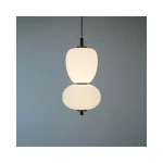 Modern üslubda təkli asma işıq MD7309-A+B